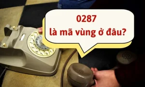 Đầu số 0287 là mạng gì? Có nên nghe máy khi đầu số 0287 gọi đến?
