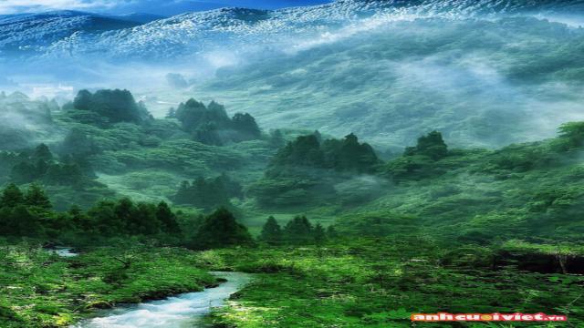 Bức ảnh phong cảnh này làm ta liên tưởng đến thiên đường tuyệt đẹp. Sự liên kết giữa núi, biển và sương mù tạo nên vẻ đẹp mộng mơ, huyền ảo, đẹp tuyệt vời.