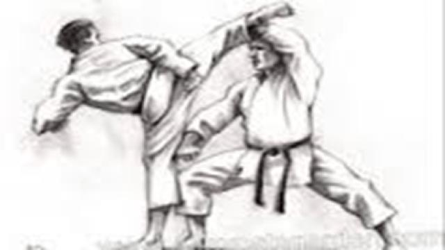 Hình ảnh Võ Karate PNG Võ Karate PNG Taekwondo Võ Thuật PNG miễn phí tải tập tin PSDComment và Vector