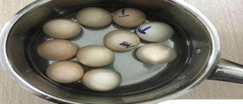 Hột Trứng Gà Lộn – 10 quả